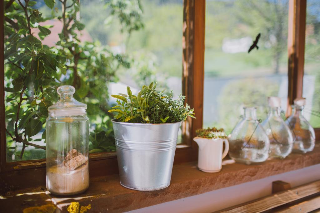 Füssen Dreimaderlhaus - Das Vegetarische Boutique Hotel المظهر الخارجي الصورة